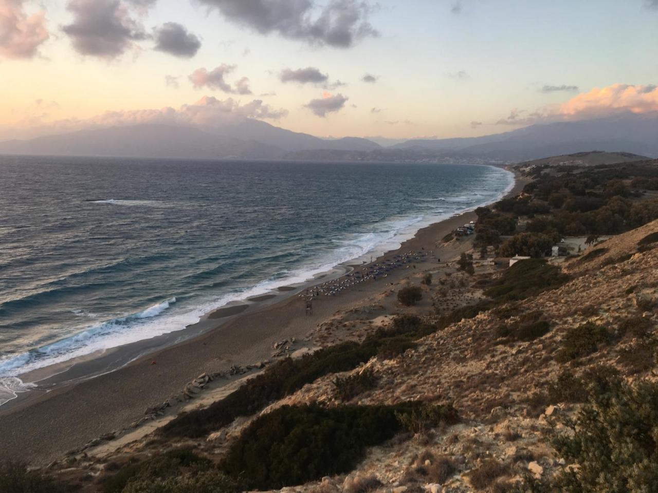 פיטסידיה Irene Komos מראה חיצוני תמונה